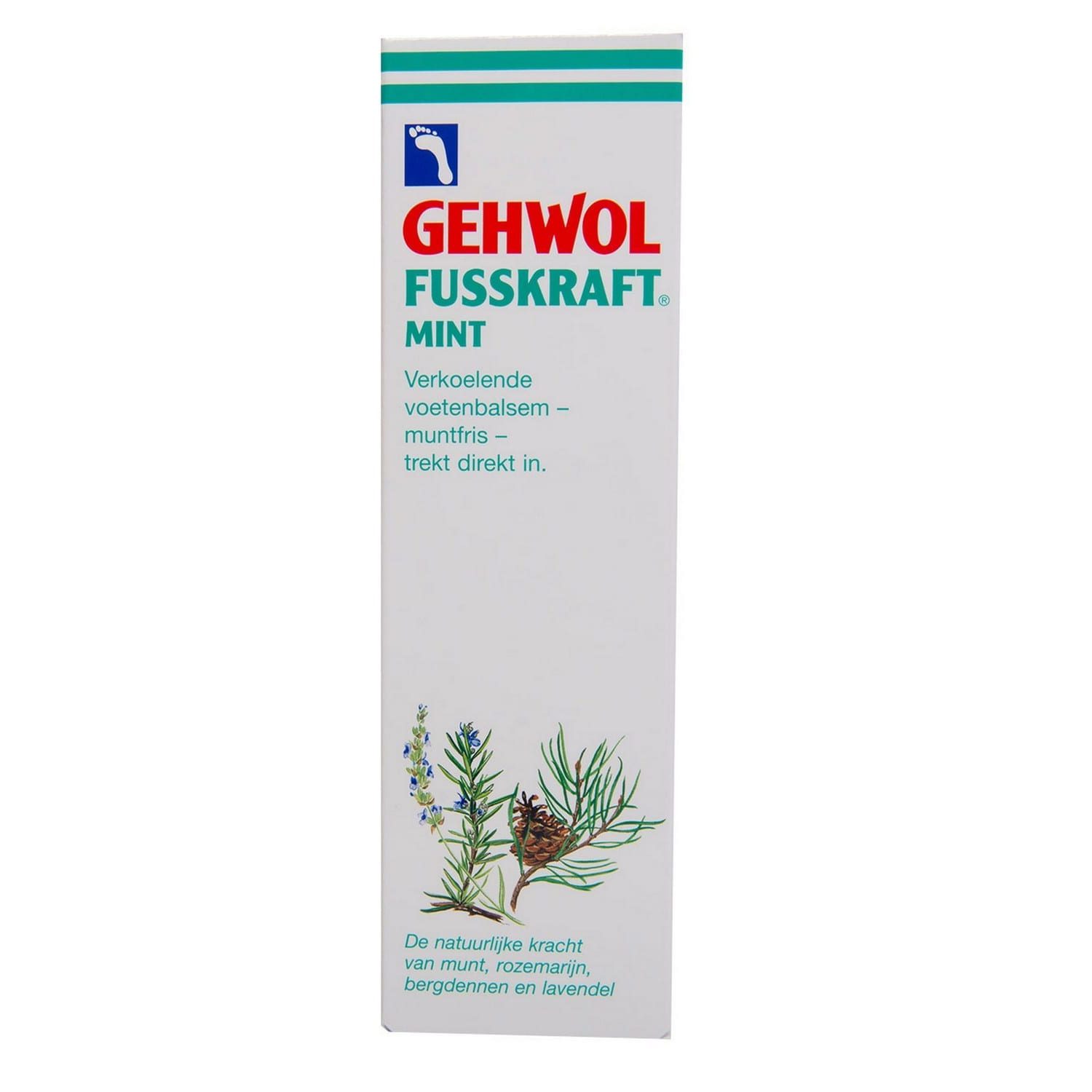Gehwol-Fusskraft-mint