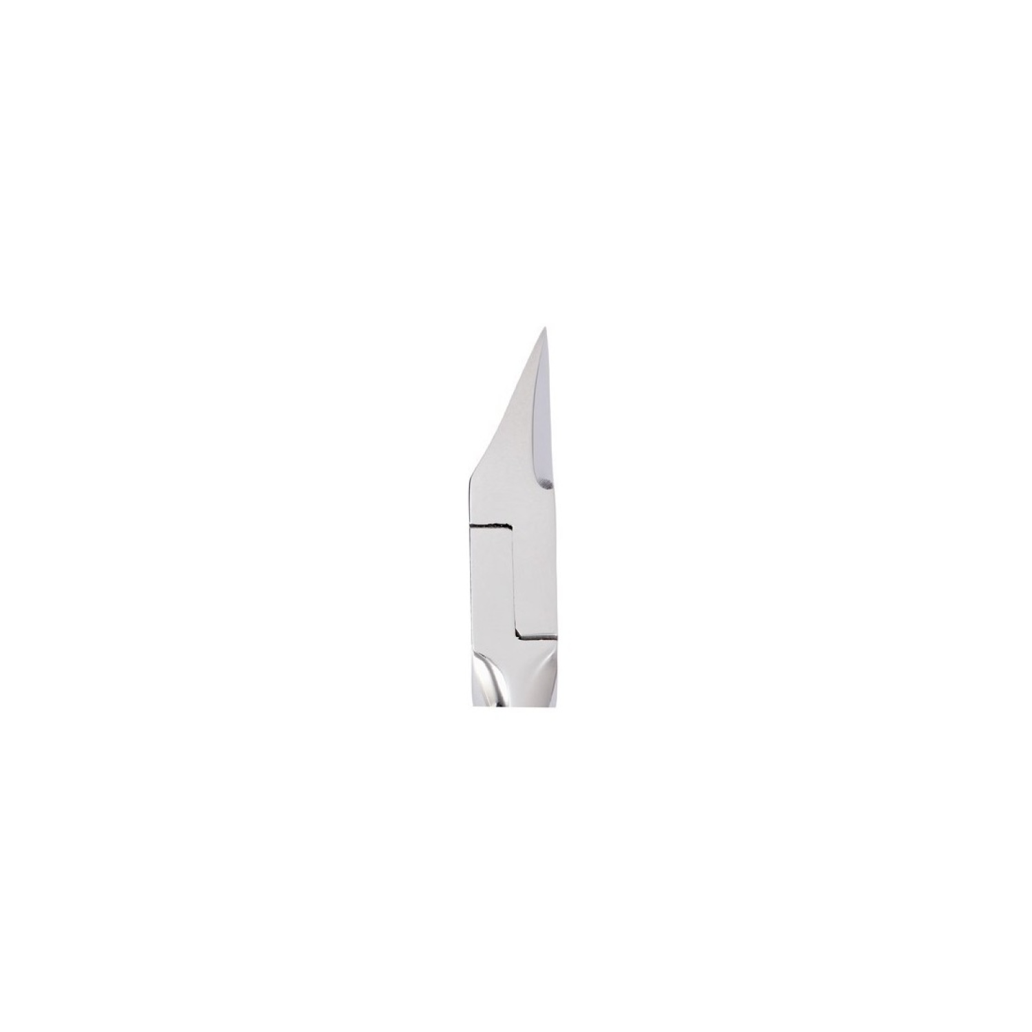 PINCE ELOI INCURVEE - Afbeelding 3