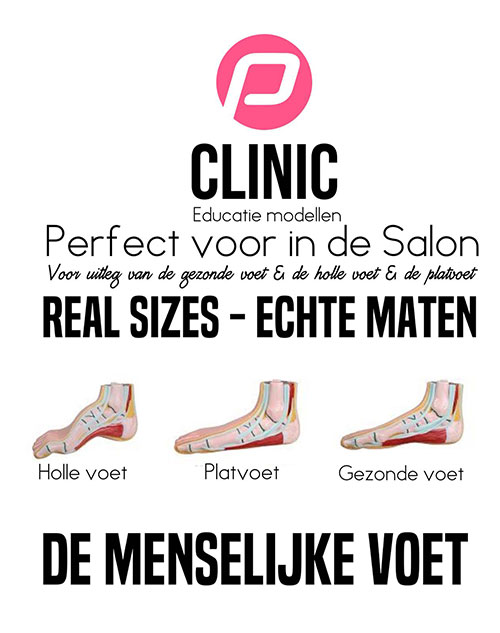ENSEMBLE DE 3 PIEDS - CREUX/PLAT/NORMAL